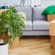 Moving Company