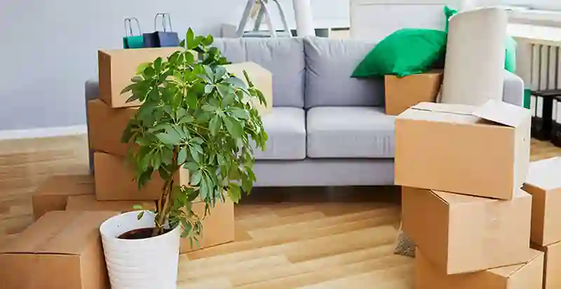 Moving Company