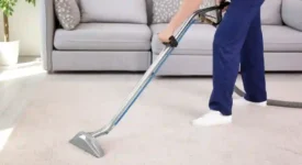 Carpet Cleaning